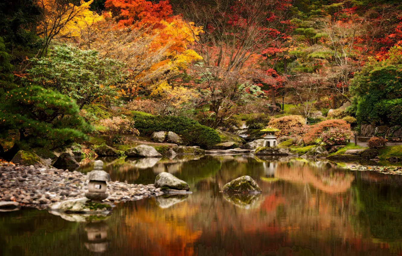 Фото обои trees, autumn, lake