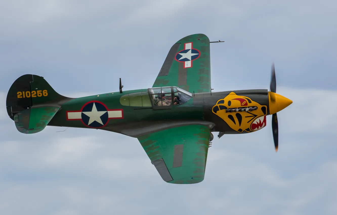 Фото обои полет, истребитель, P-40, Warhawk
