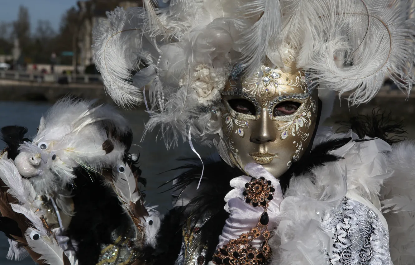 Фото обои перья, маска, Венеция, карнавал