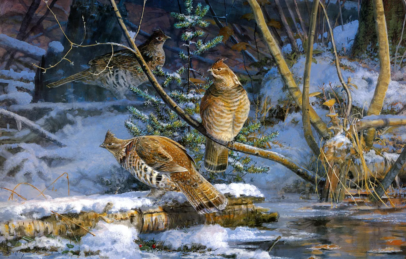 Фото обои зима, снег, птицы, ветки, природа, поза, берег, рисунок