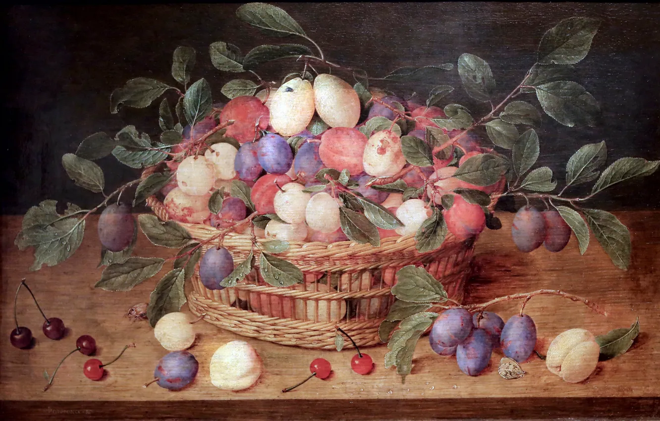 Фото обои Antwerp, Basket of plums and cherries, Jacques van Hulsdonck