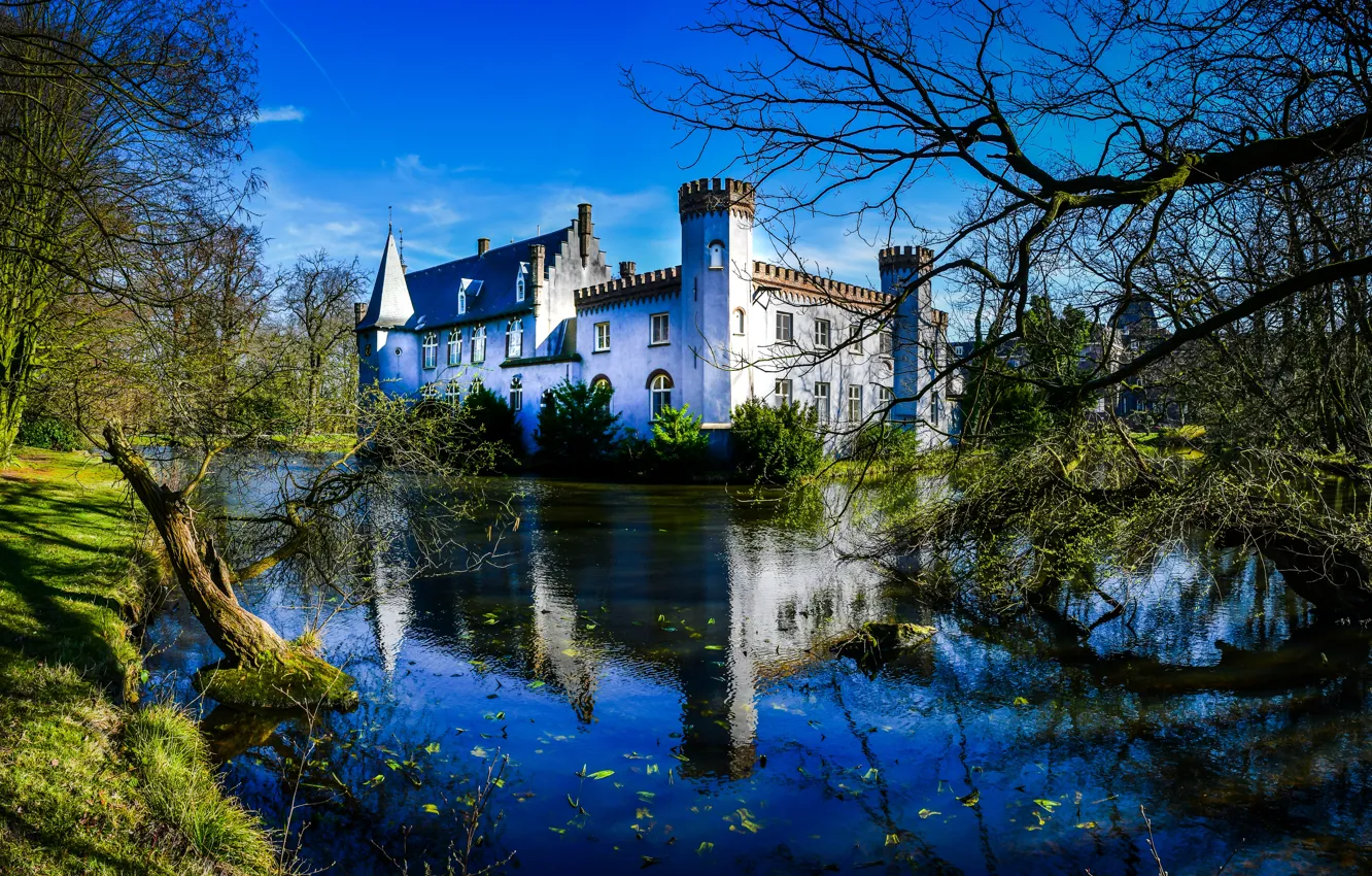 Фото обои деревья, пейзаж, ветки, пруд, отражение, замок, Нидерланды, Stapelen Castle