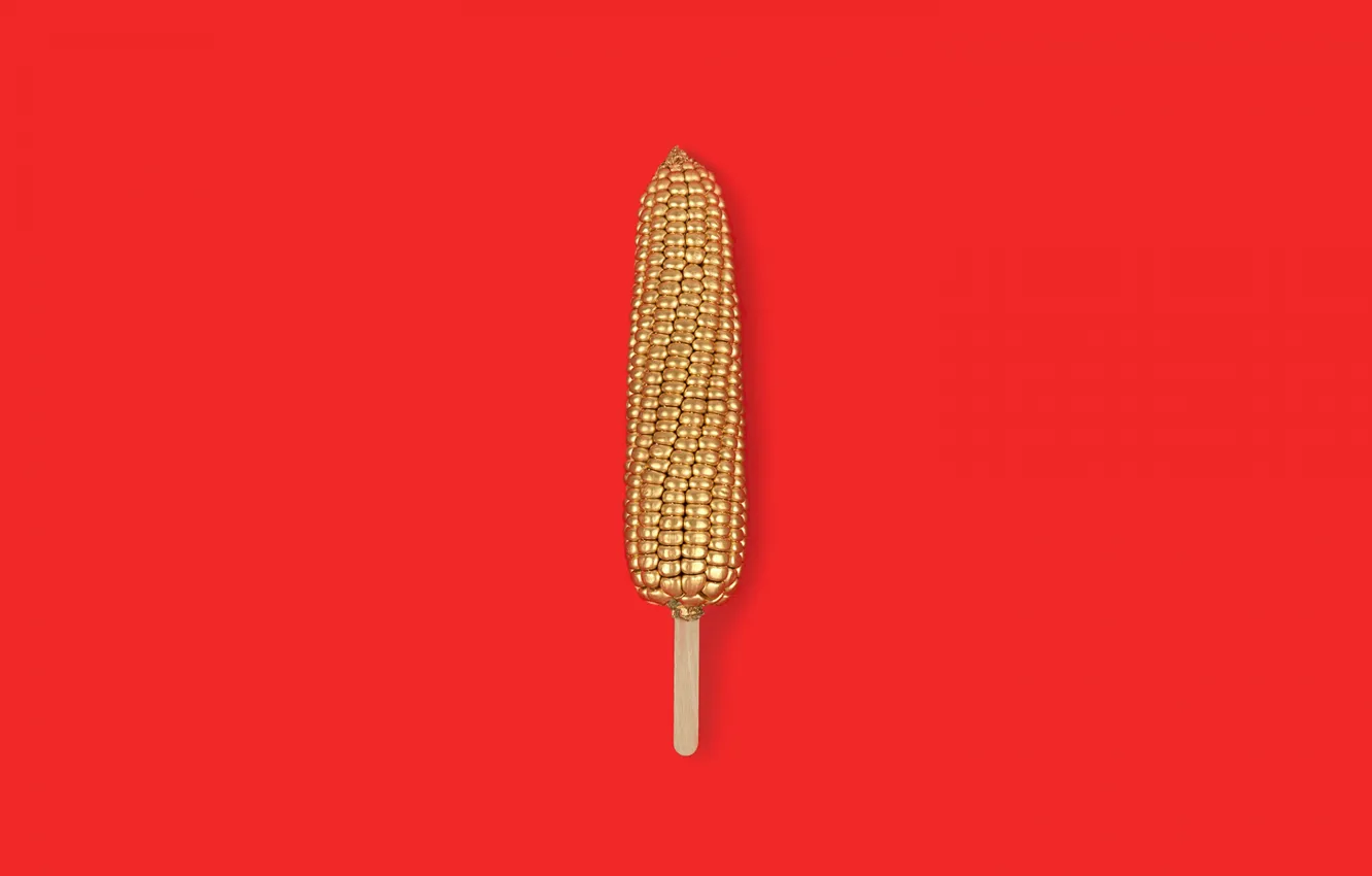 Фото обои объем, початок, золотая кукуруза