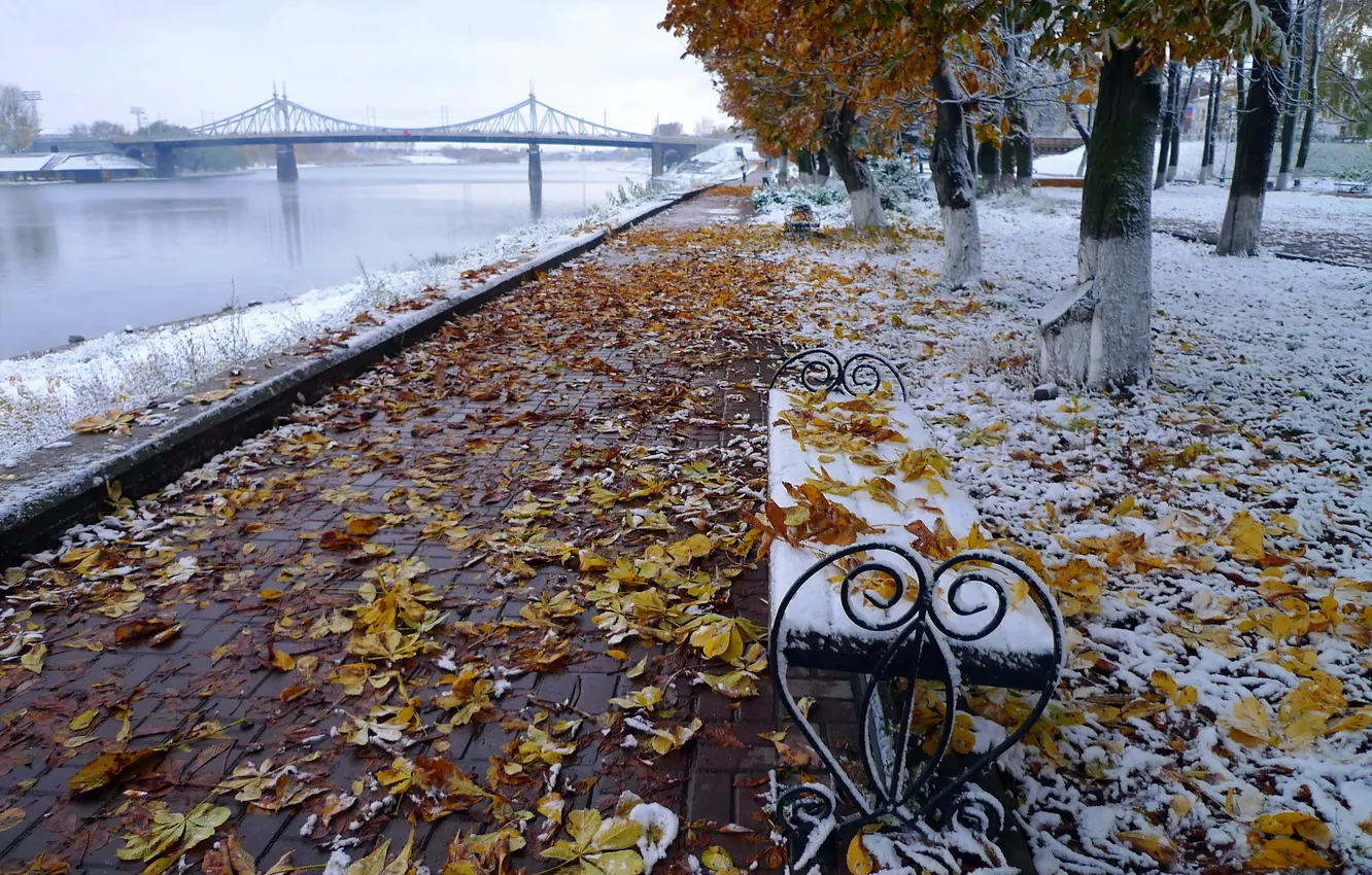 Фото обои осень, листья, пейзаж, мост, октябрь, набережная, волга, каштаны