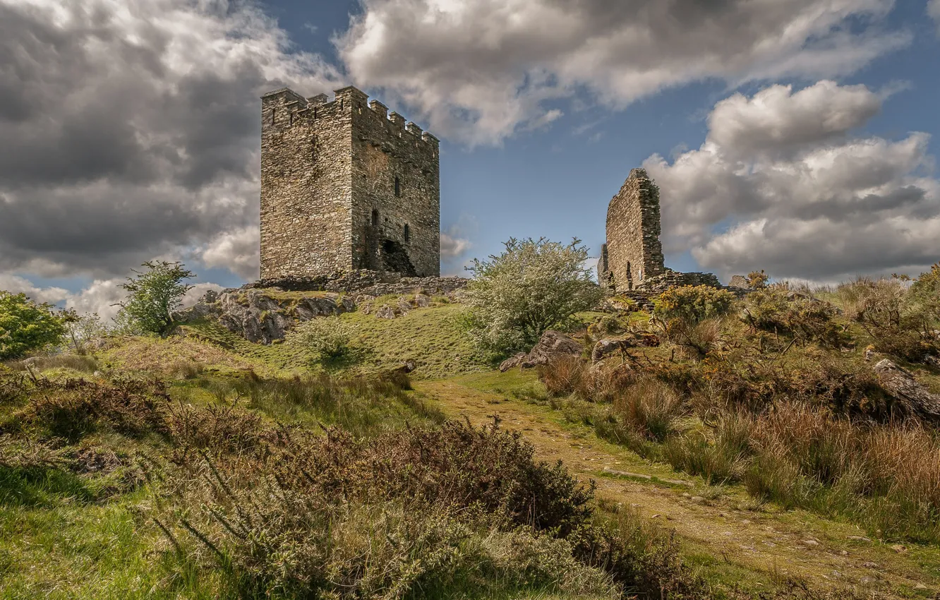 Фото обои замок, башня, руины, Уэльс, Долвиделан
