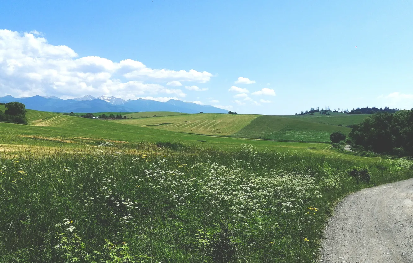 Фото обои road, field, nature, flowers, mountain, meadow, sky blue, Slovakia