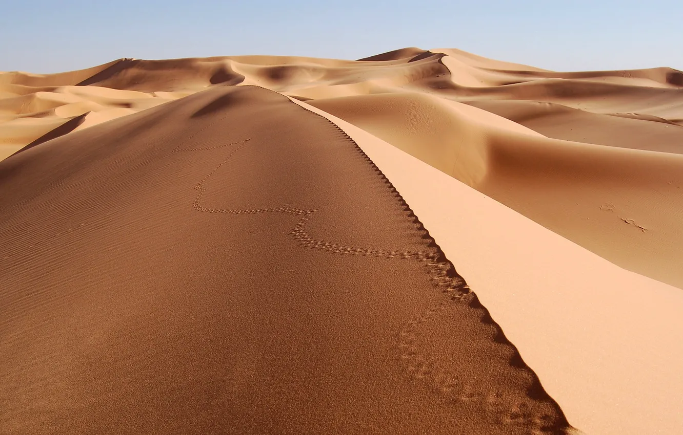 Фото обои Песок, Пустыня, Следы