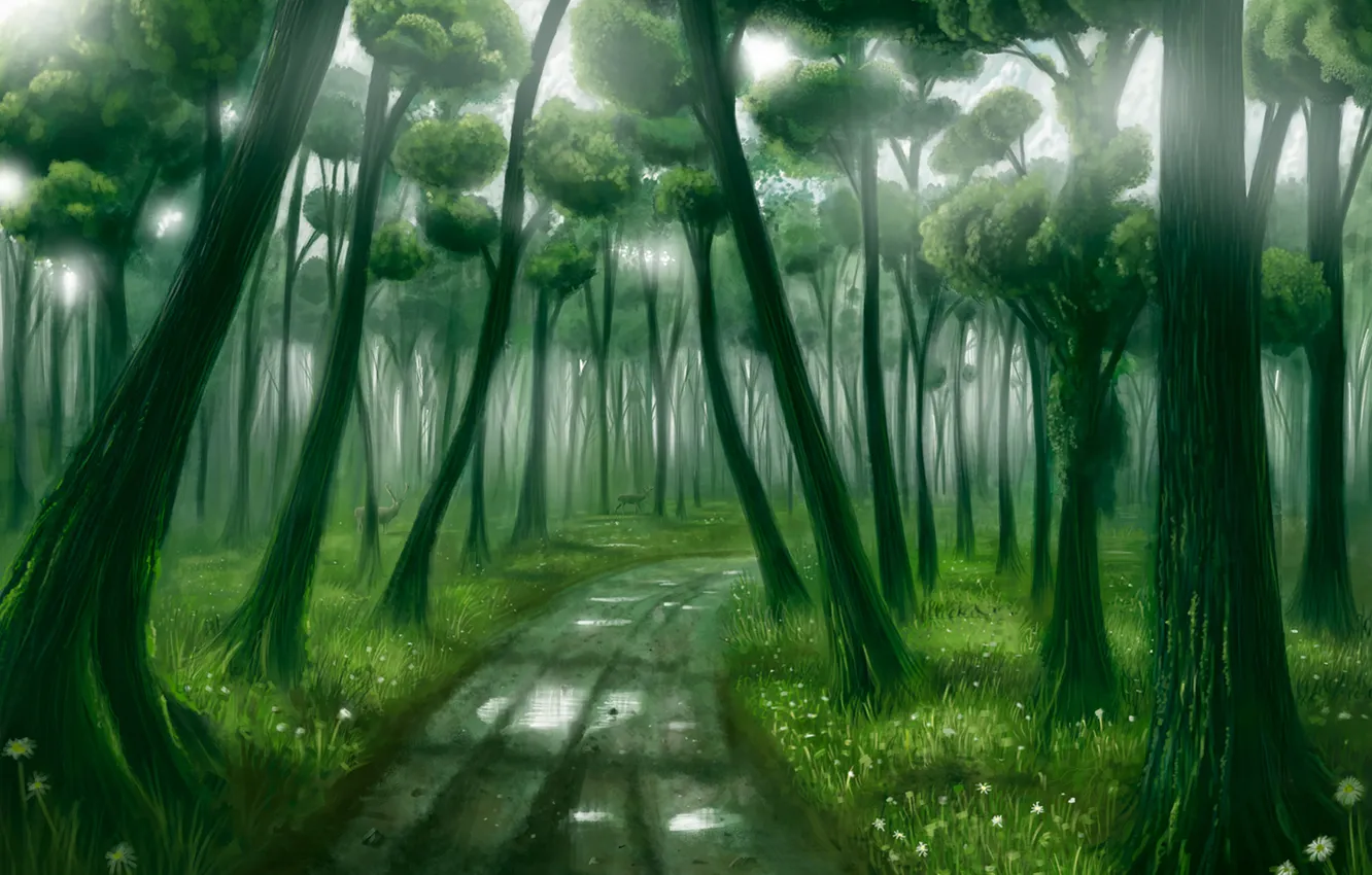 Фото обои лес, свет, deep forest