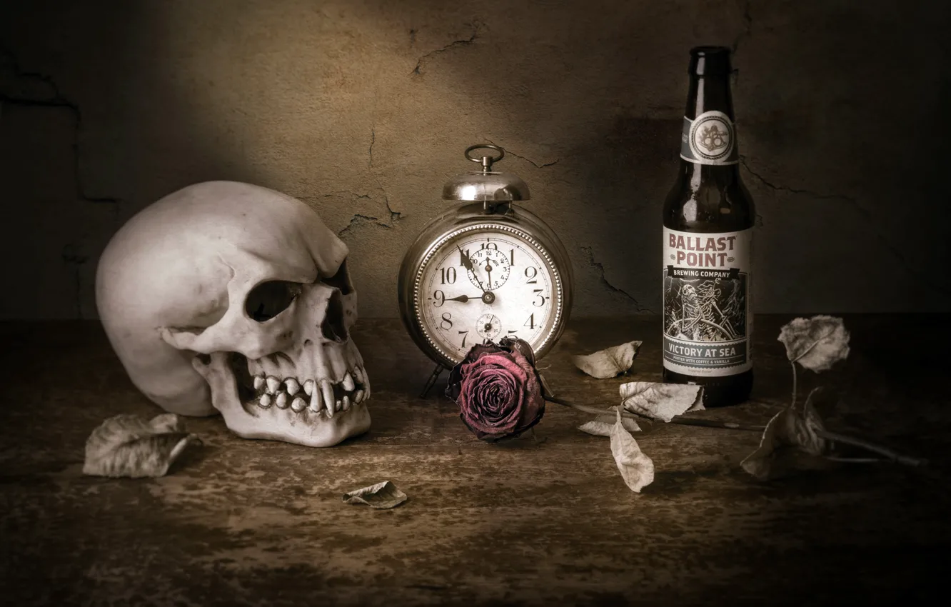 Фото обои часы, роза, череп, бутылка