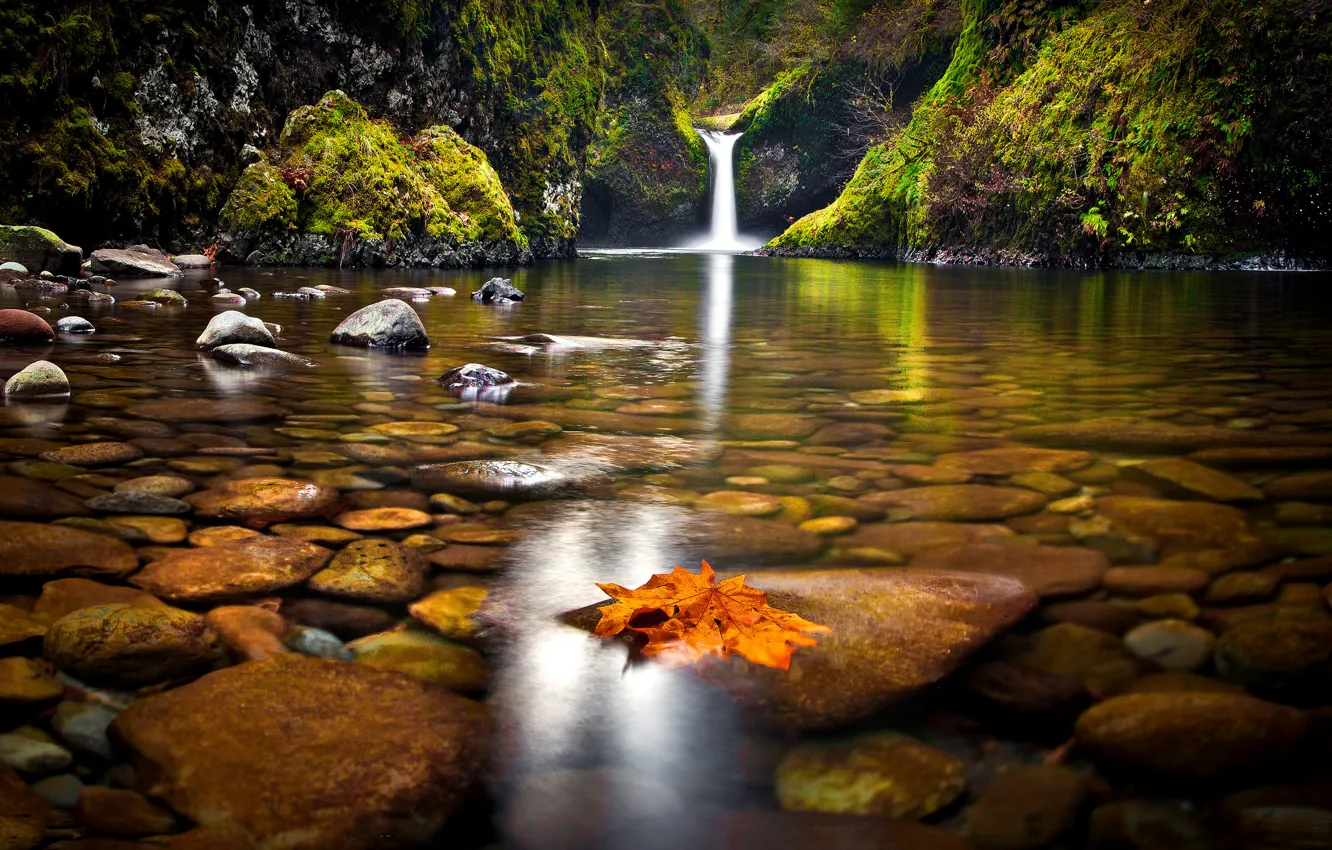 Фото обои осень, лес, деревья, лист, озеро, камни, водопад