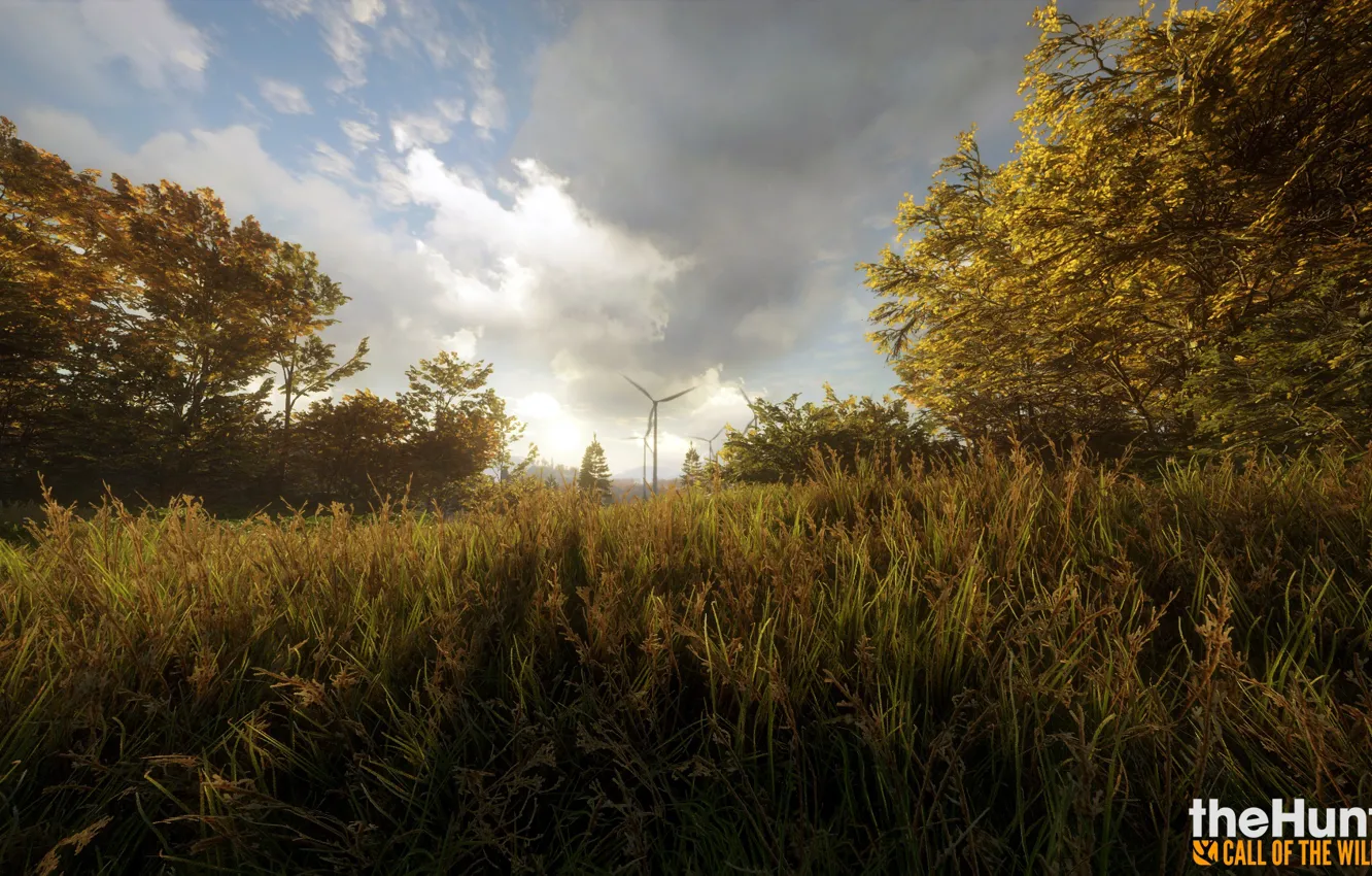 Фото обои лес, природа, игры, thehunter call of the wild