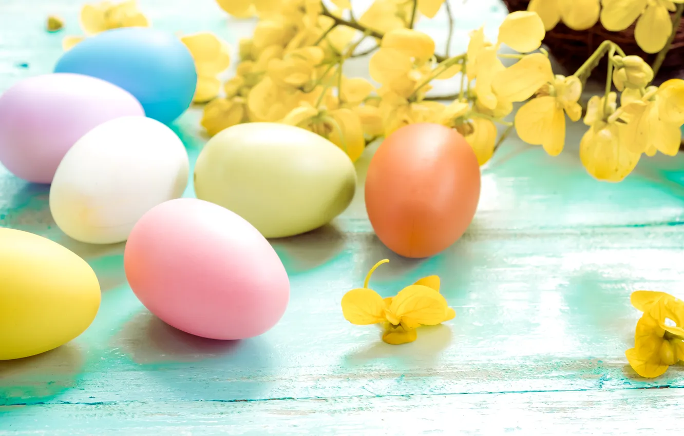 Фото обои цветы, яйца, весна, colorful, Пасха, flowers, spring, Easter