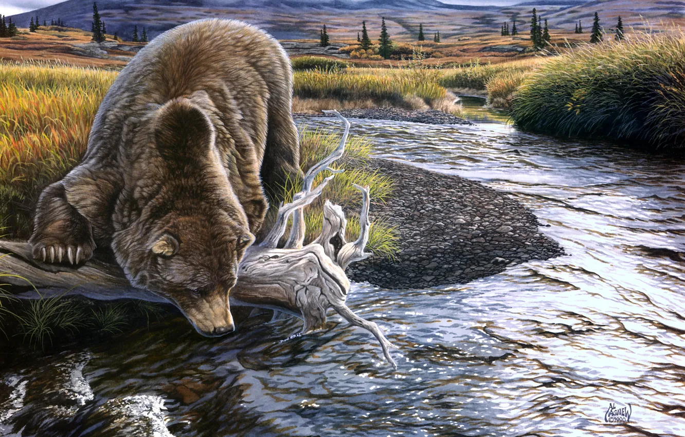 Фото обои природа, берег, рисунок, картина, медведь, арт, коряга, живопись