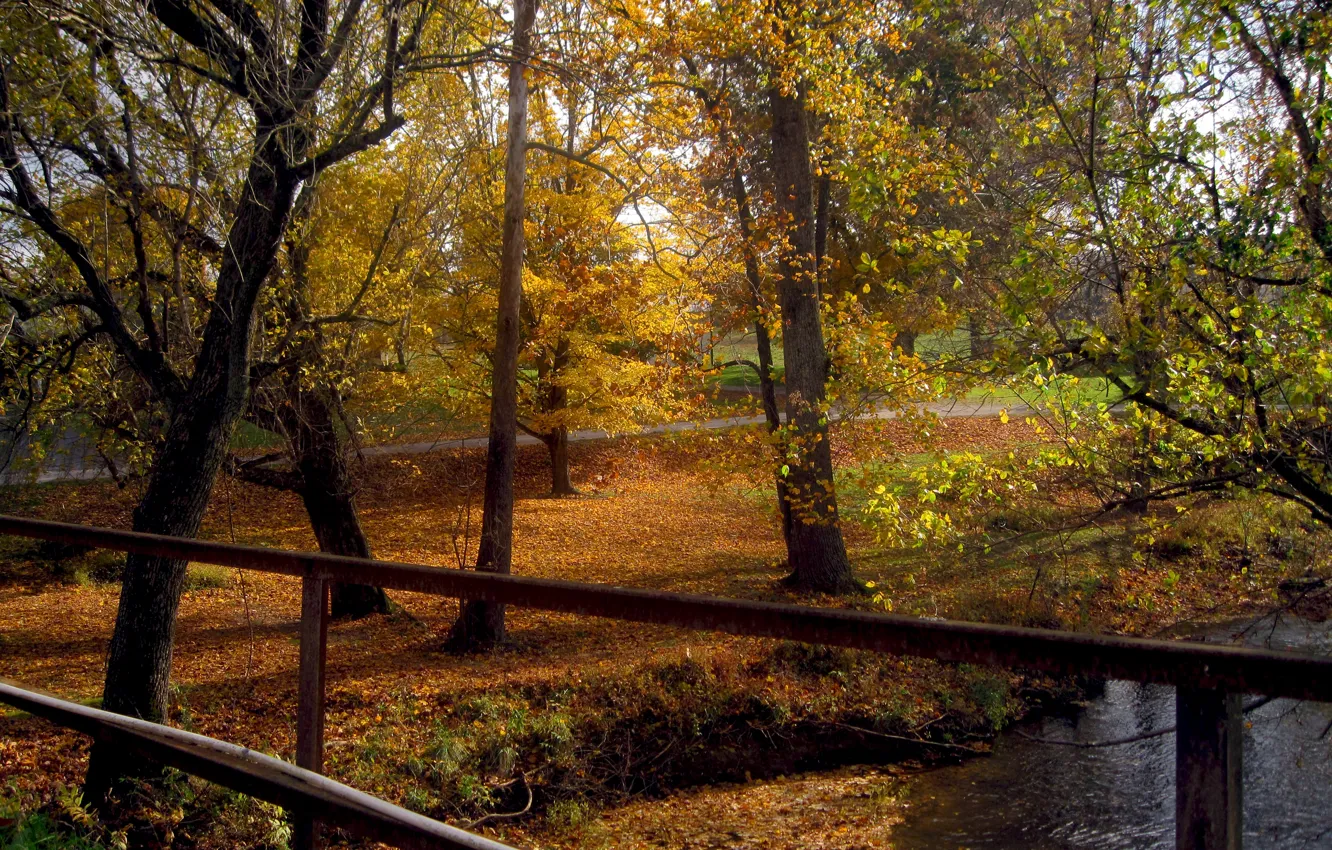 Фото обои Осень, Деревья, Fall, Листва, Речка, Autumn, Colors, River