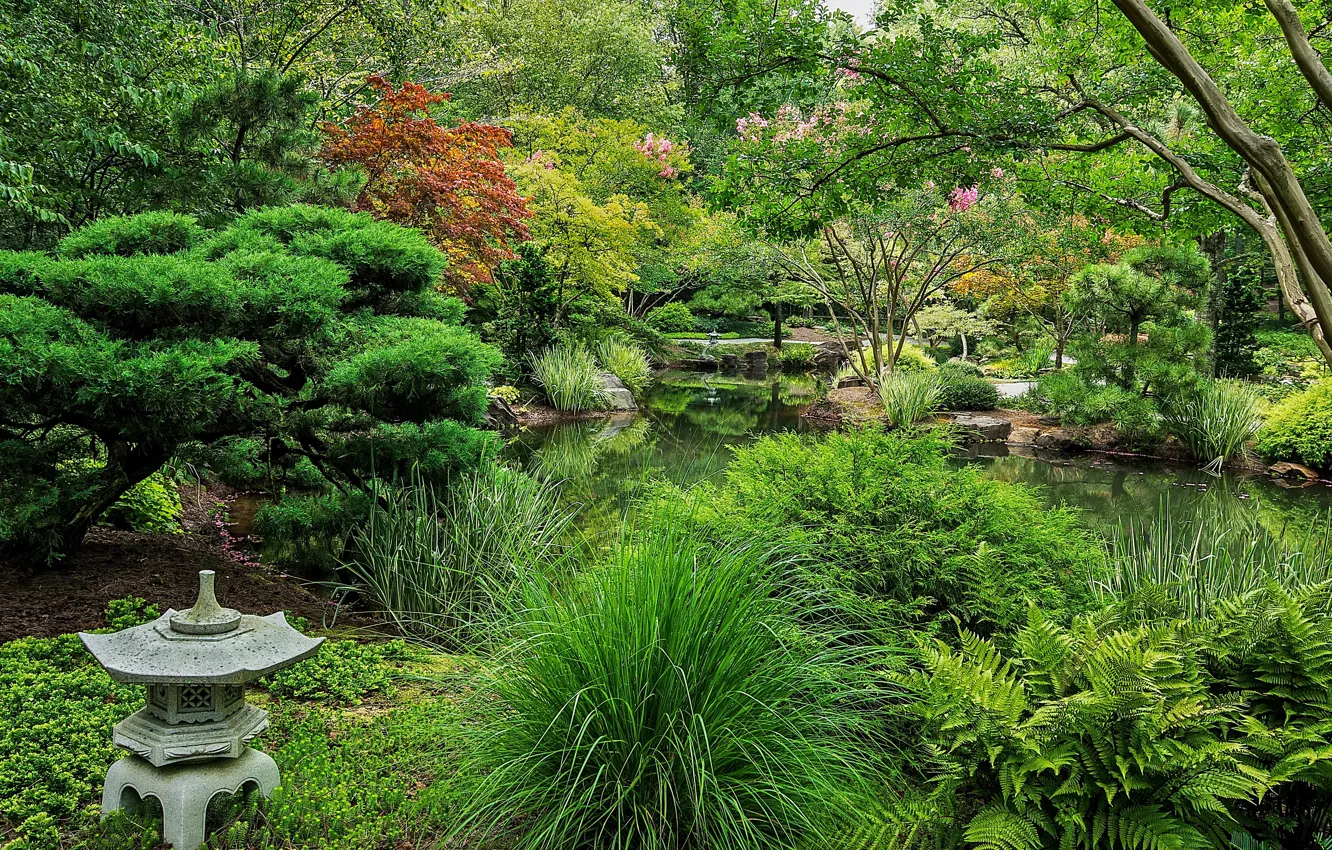 Фото обои фото, Природа, Пруд, Кусты, Парк, США, Ball Ground, Gibbs Gardens