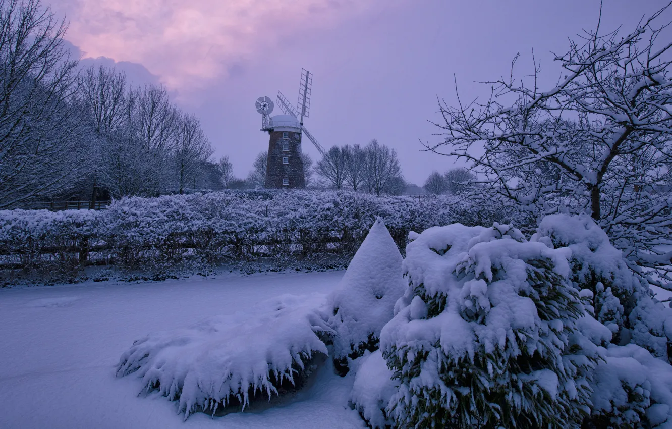 Фото обои зима, снег, деревья, сумерки, ветряная мельница