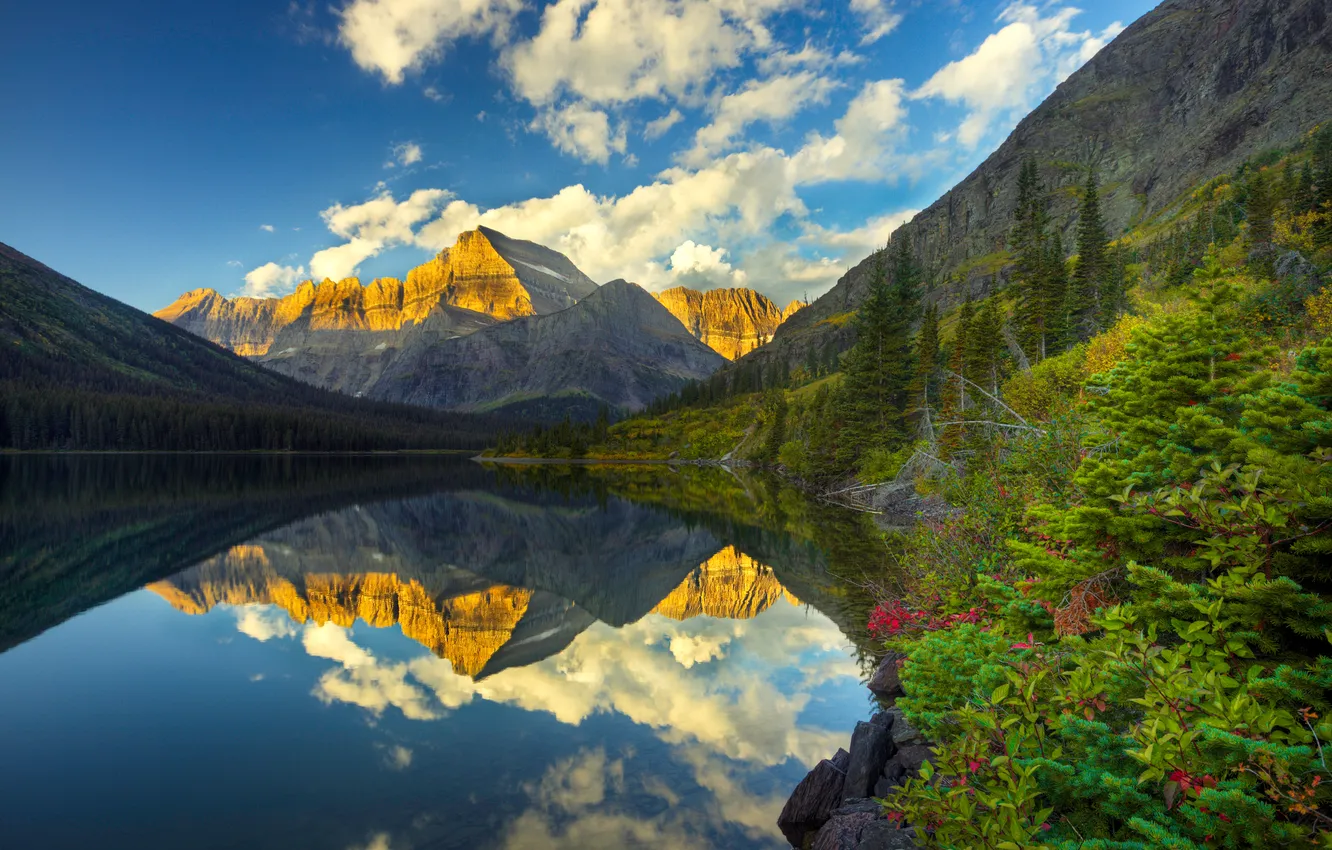 Фото обои горы, озеро, отражение, кусты