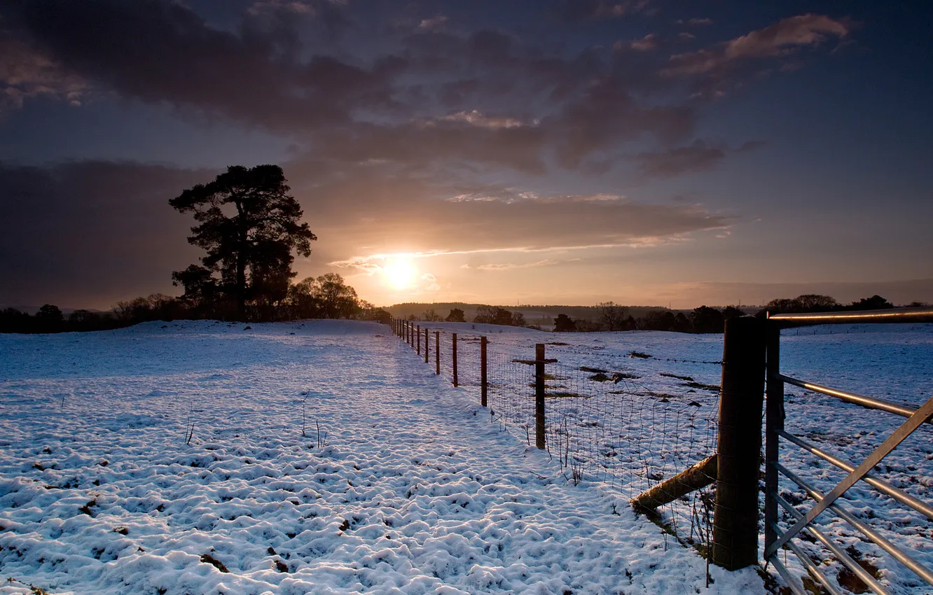 Фото обои зима, снег, деревья, закат, забор