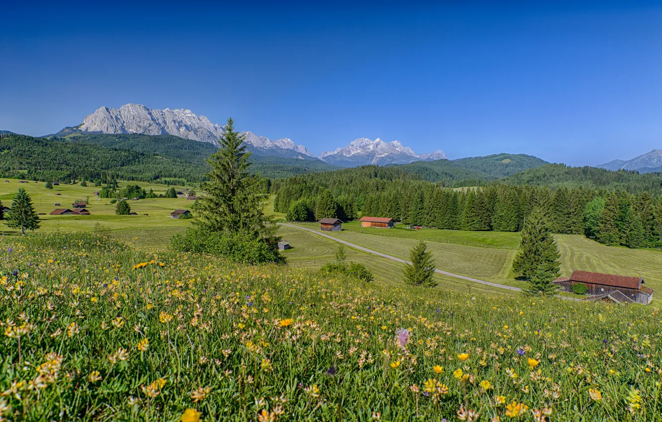 Фото обои лес, пейзаж, цветы, горы, дома, Германия, Бавария, Альпы