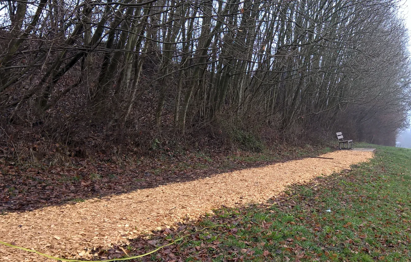 Фото обои relax, calm, bench, quiet, path, woodland, shredded wood, wood chips