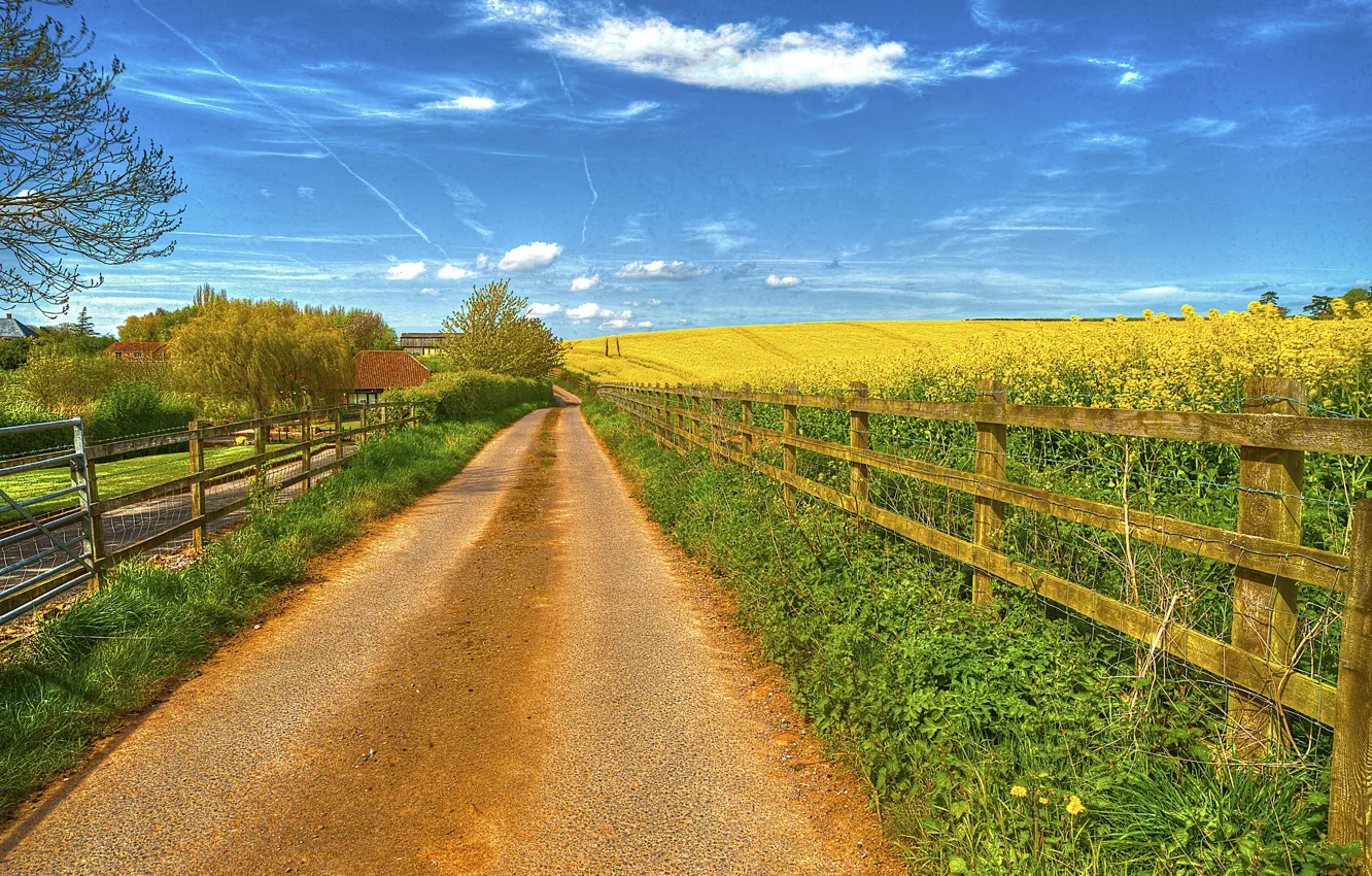 Фото обои дорога, поле, небо, трава, облака, забор, дома, цветущее