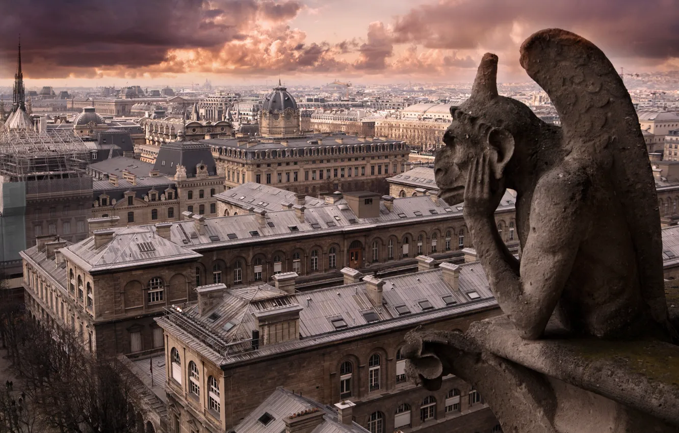 Фото обои город, Париж, Tribute to Notre Dame
