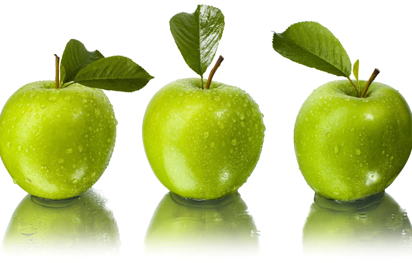 Фото обои листья, вода, капли, отражение, яблоки, зелёные, белый фон