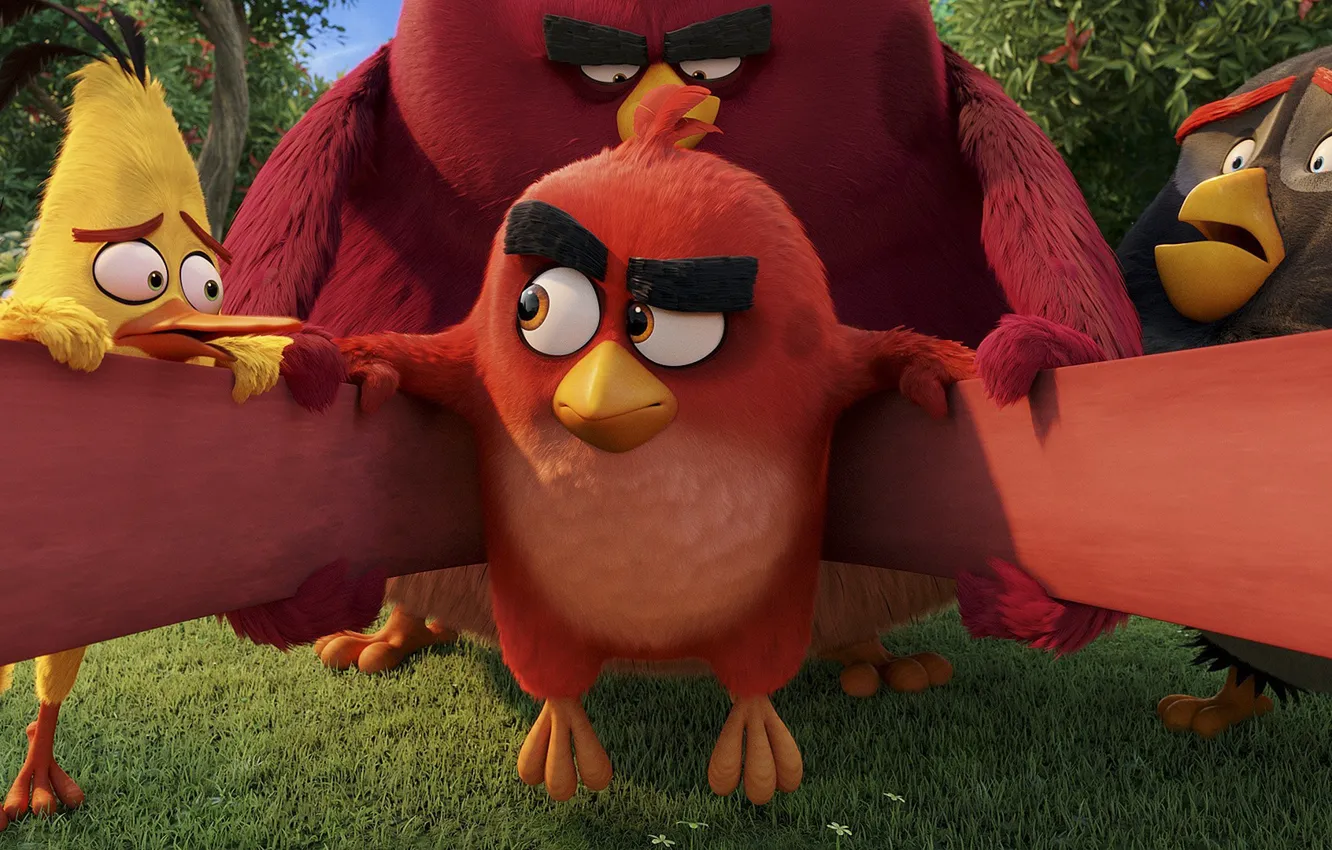 Фото обои Red, game, birds, film, animated, angry, Angry Birds, invasion