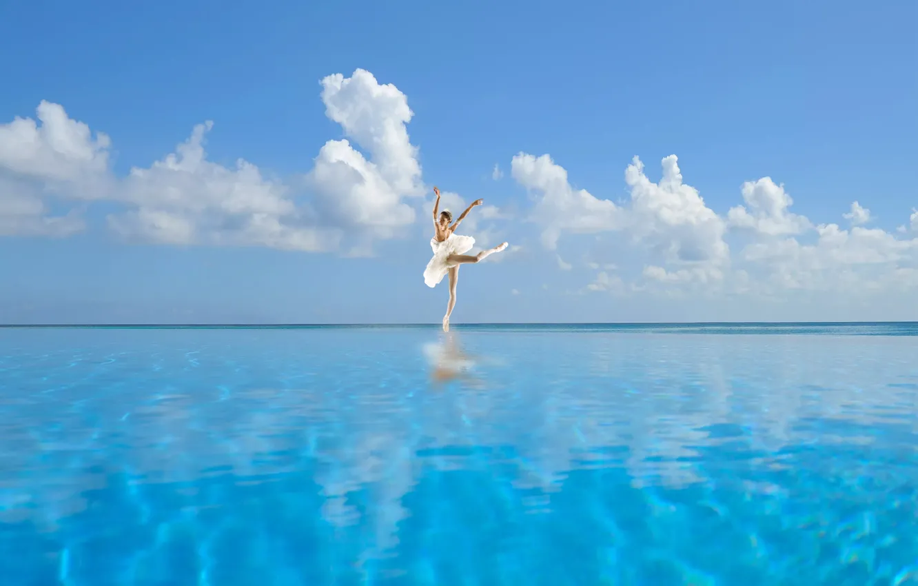 Фото обои swan, lake, blue sky, ballet