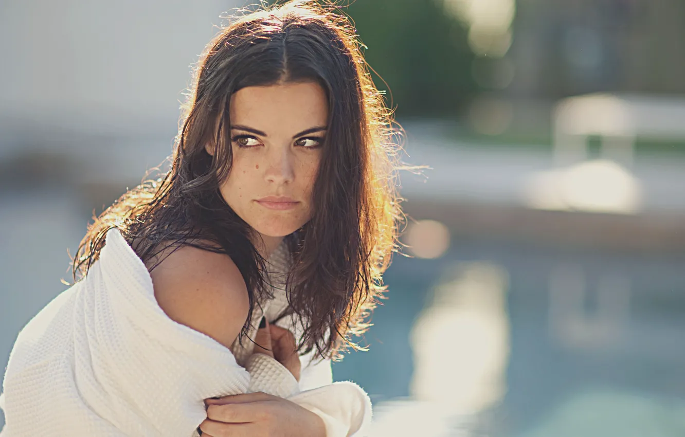 Фото обои взгляд, девушка, актриса, брюнетка, красивые глаза, Jaimie Alexander, Джейми Александер