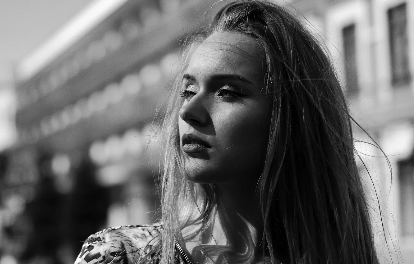 Фото обои взгляд, черно-белое, девушка портрет