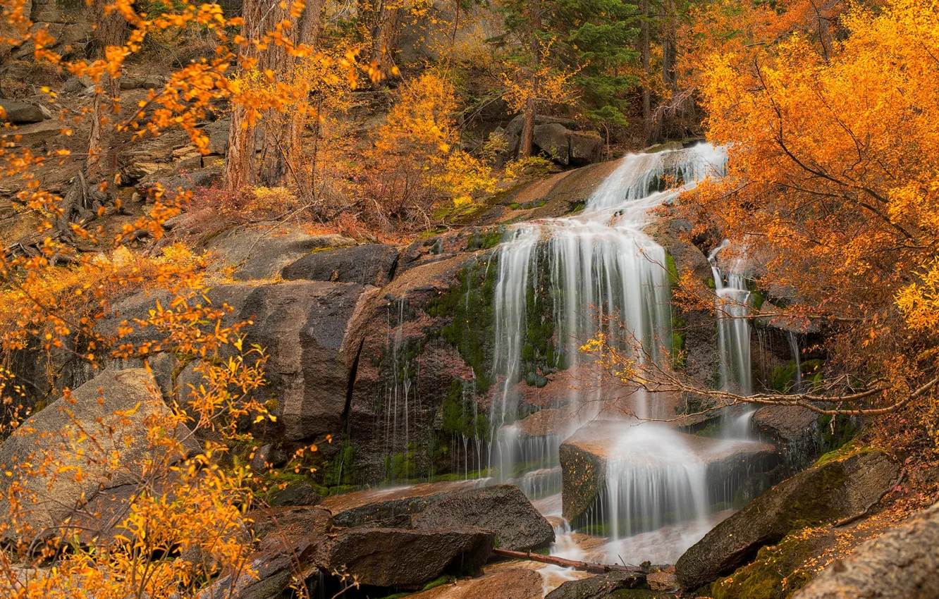 Фото обои осень, деревья, скала, водопад, Калифорния, каскад, California, Eastern Sierra