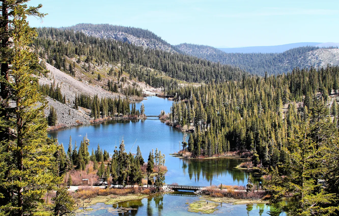Фото обои лес, горы, озеро, California, Mammoth Lakes