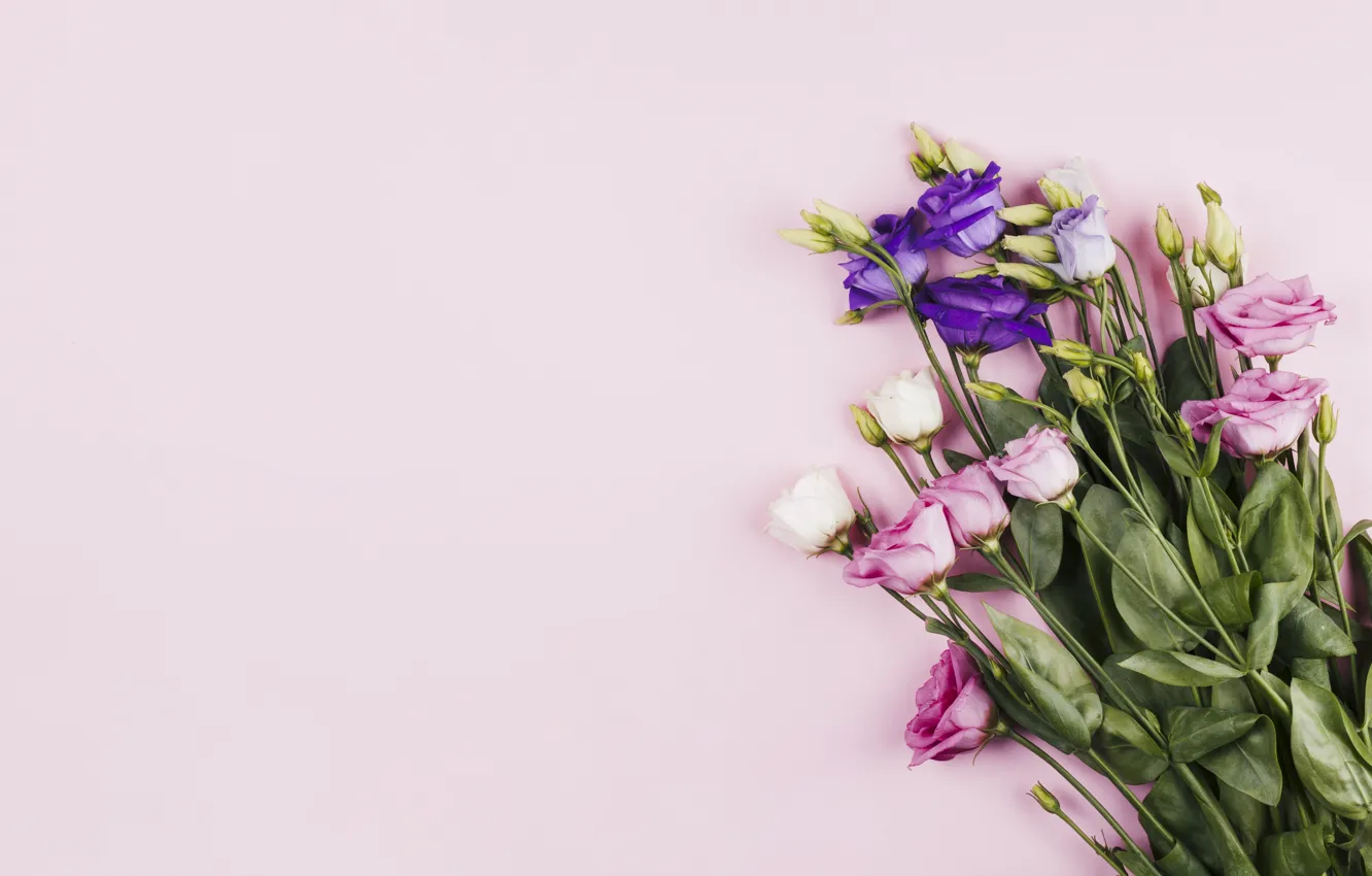 Фото обои фон, букет, розовые, эустома