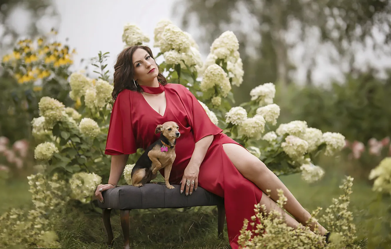 Фото обои фон, женщина, собака