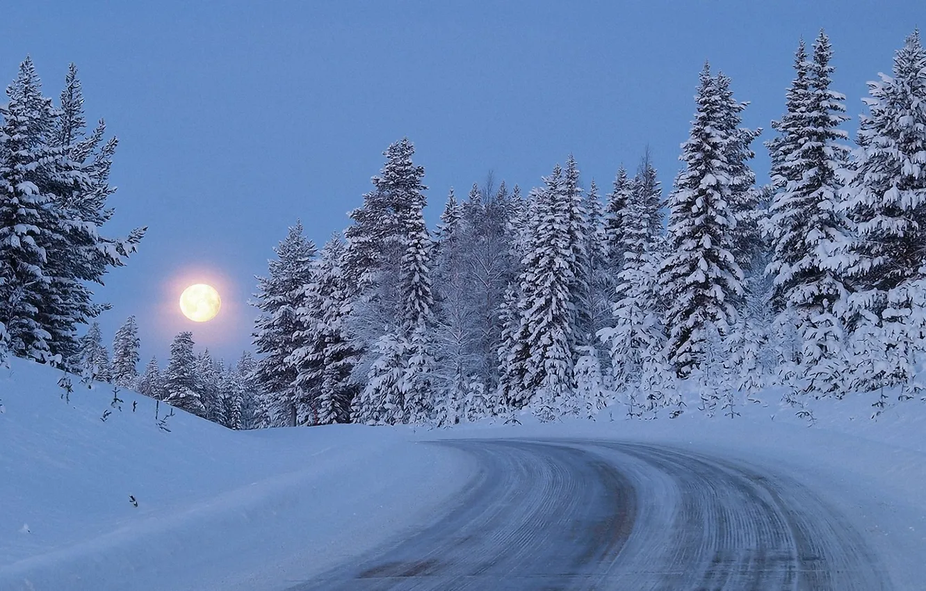 Фото обои дорога, лес, снег, деревья, луна, Зима, сумерки