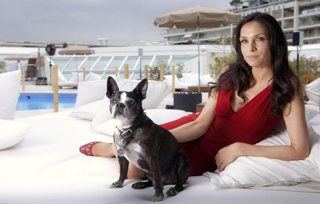 Фото обои женщина, собака, платье, бульдог, Famke Janssen, Фамке Янссен
