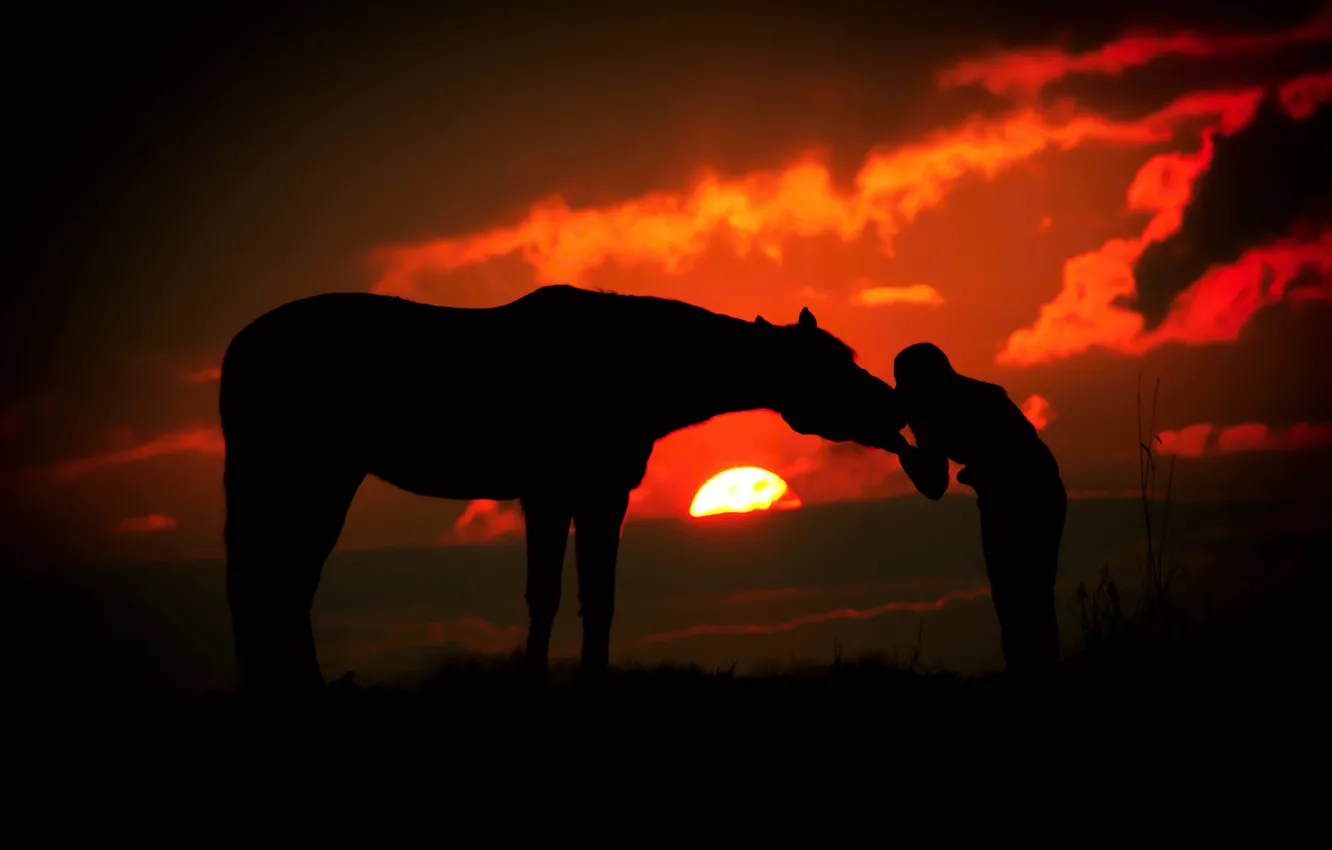 Фото обои девушка, солнце, облака, закат, лошадь, силуэты