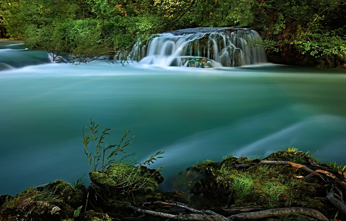 Фото обои лето, трава, вода, ветки, природа, зеленый, река, берег