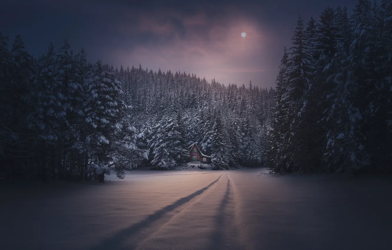 Фото обои зима, лес, снег, ночь, следы, луна, домик
