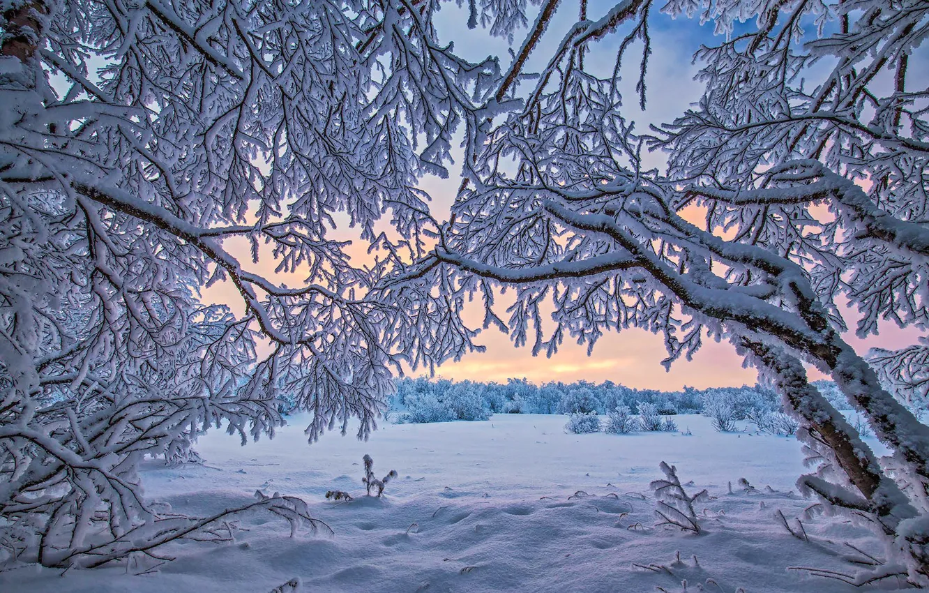 Фото обои зима, снег, Финляндия