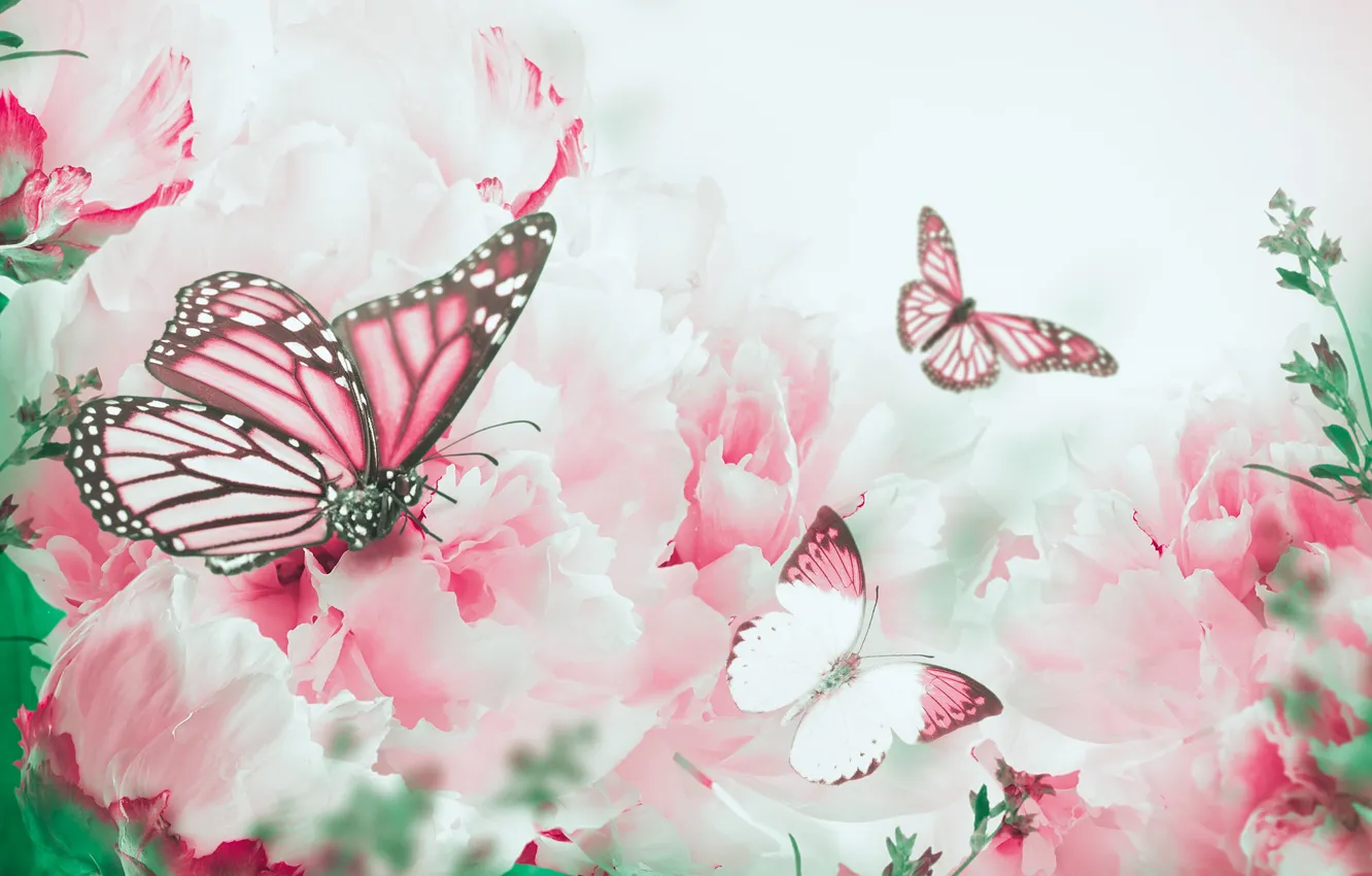 Фото обои бабочки, цветы, ветки, лепестки, цветение, butterfly, flowers, пионы