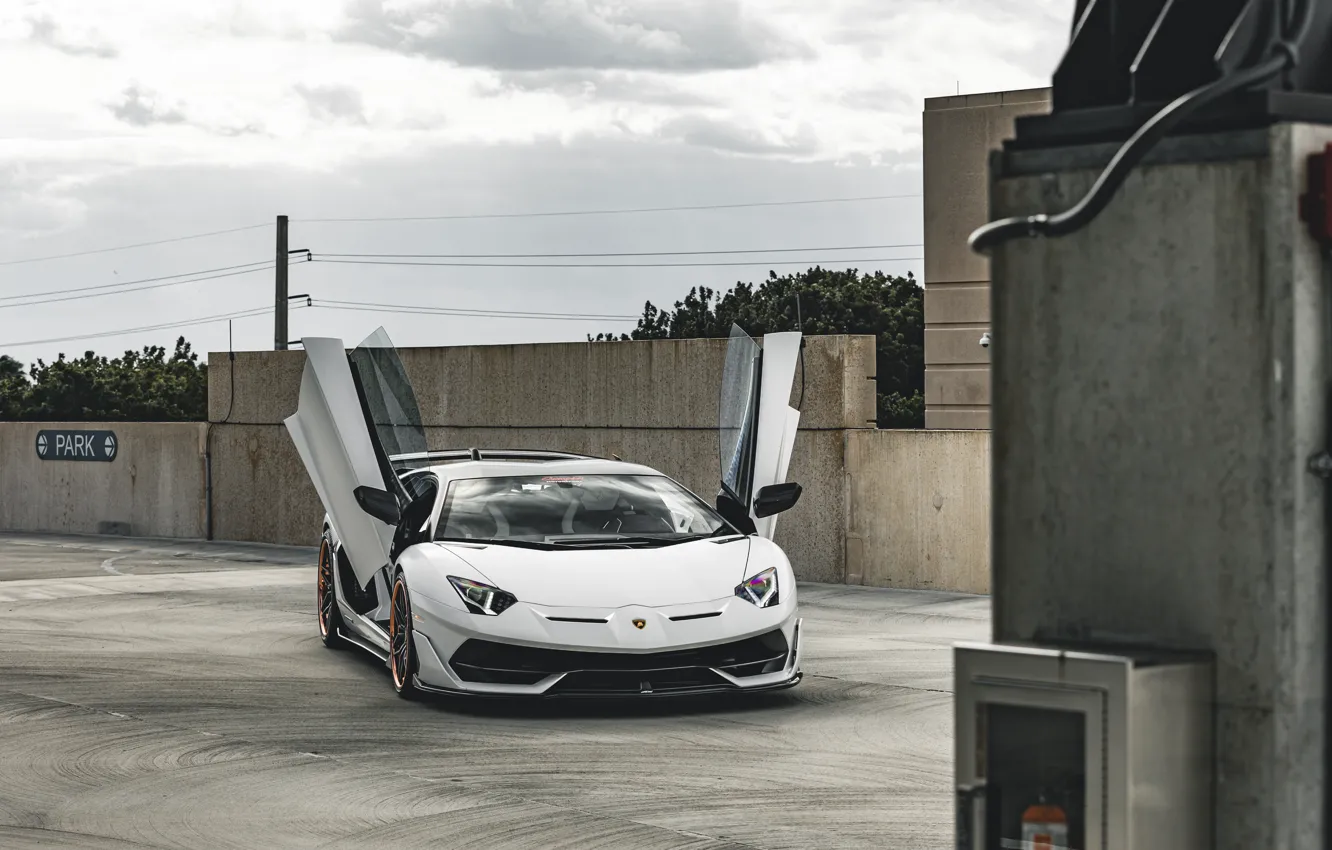 Фото обои White, Aventador, Doors