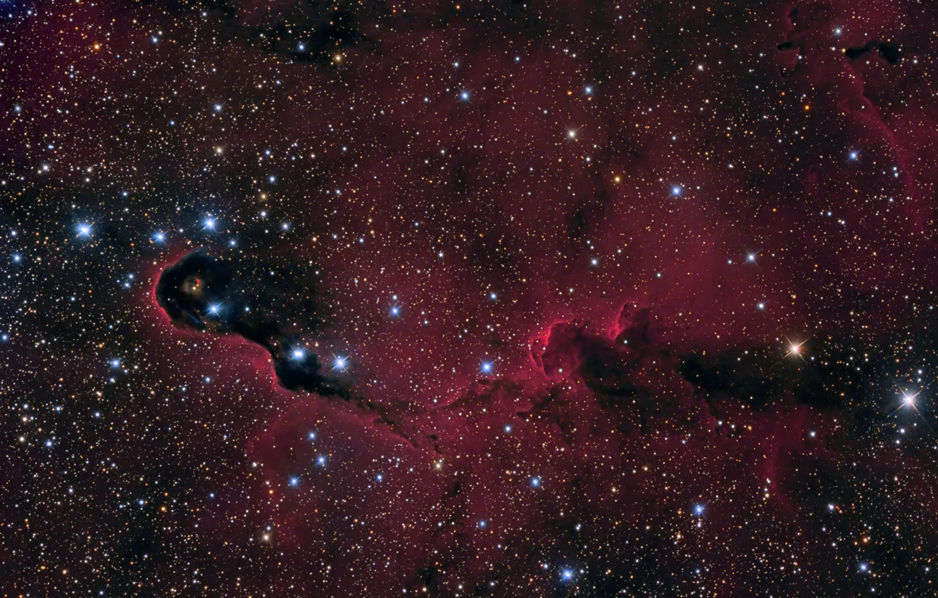 Фото обои космос, туманность, nebula, Elephant's Trunk