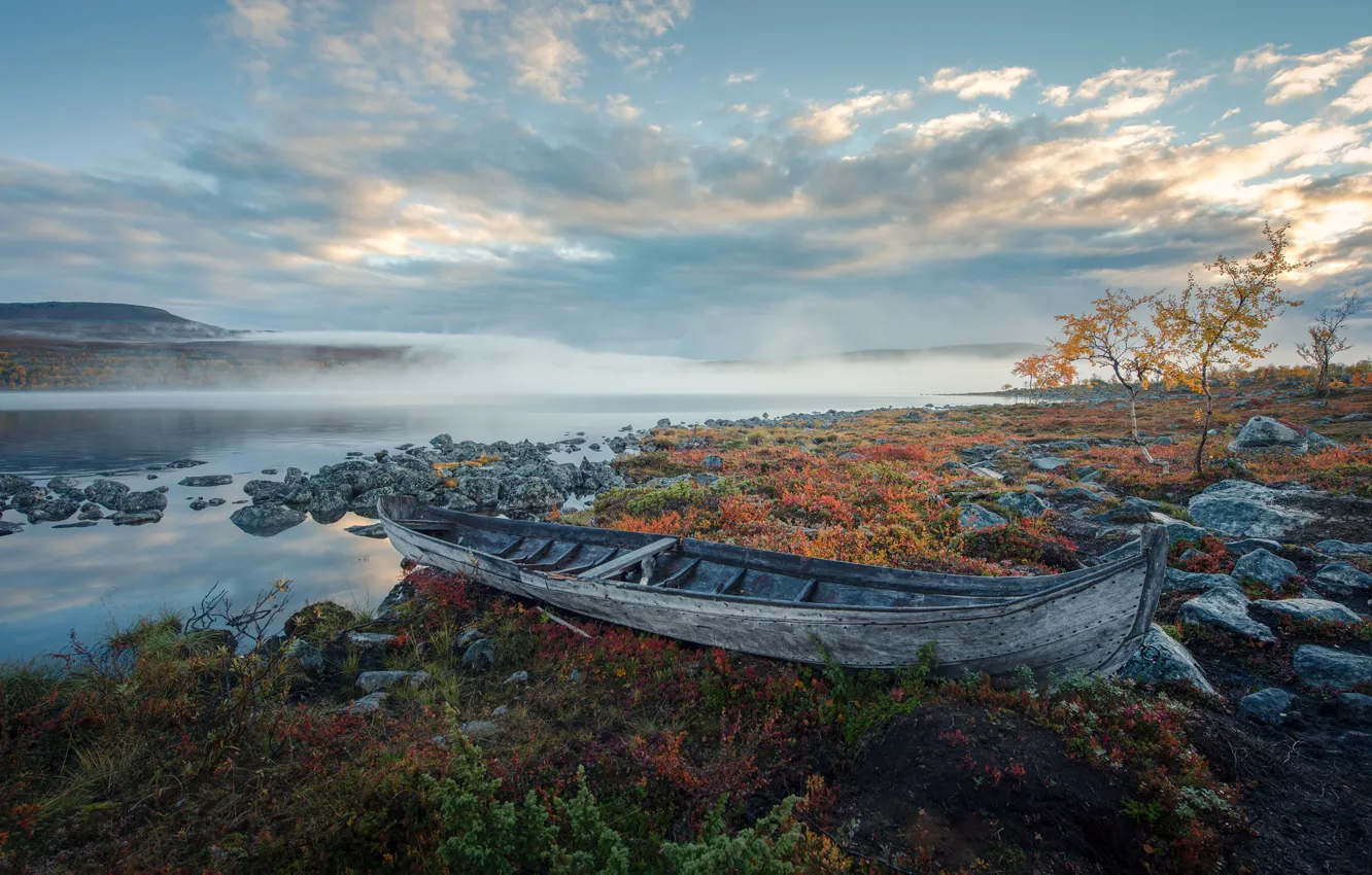 Фото обои туман, река, берег, лодка