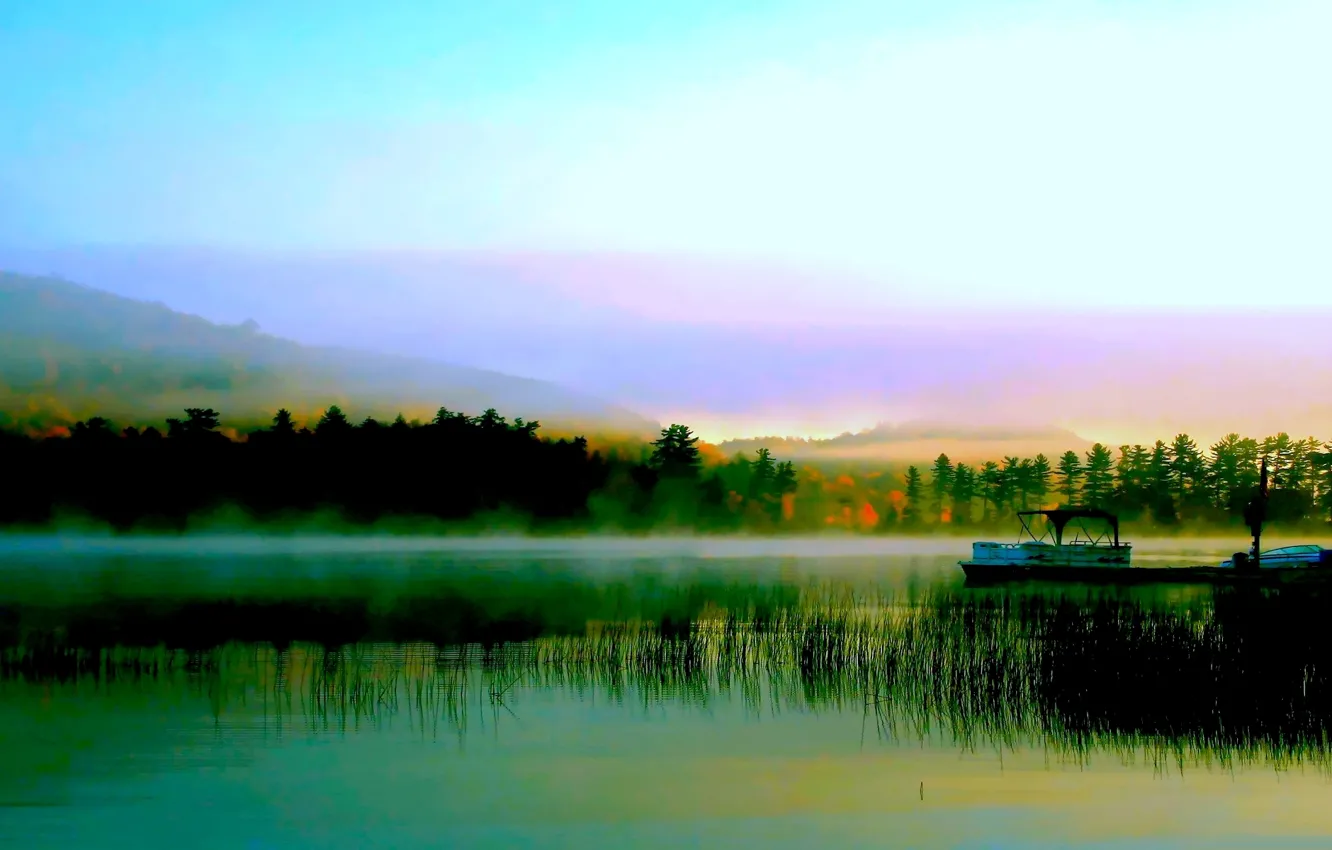 Фото обои лес, река, лодка, утро