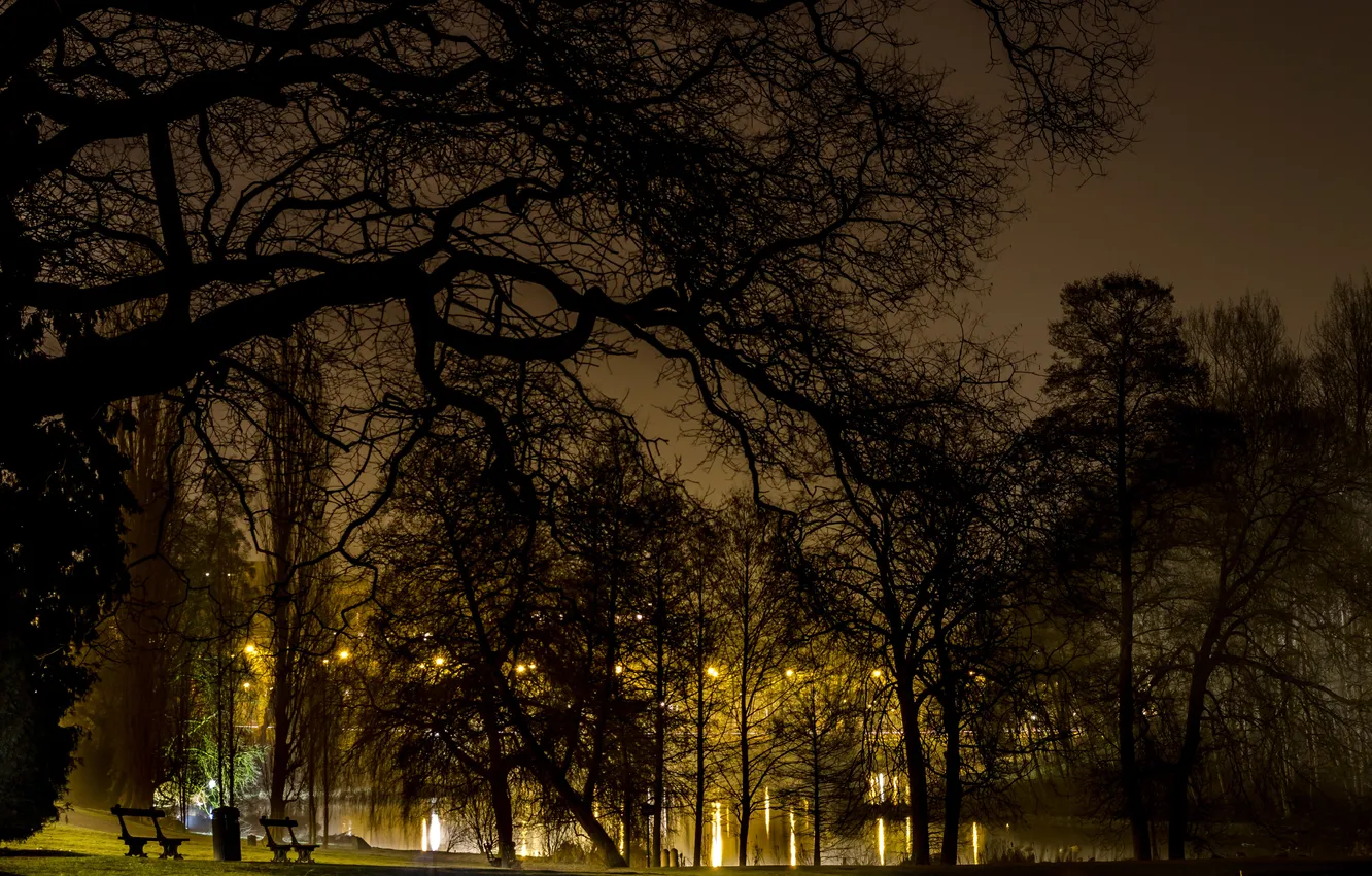 Фото обои деревья, ночь, ветки, огни, пруд, парк, газон, фонари