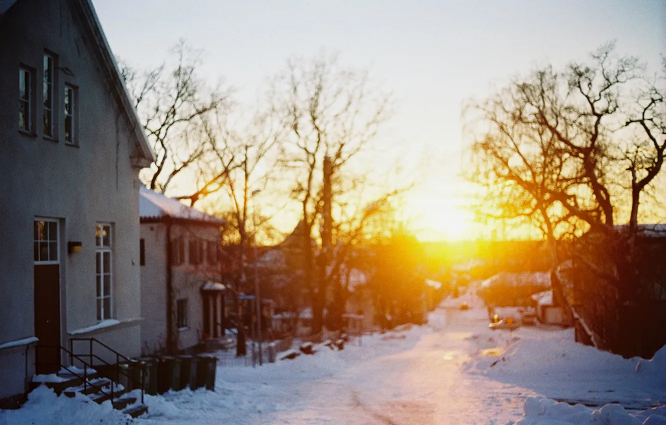 Фото обои зима, небо, солнце, снег, деревья, закат, ветки, улица