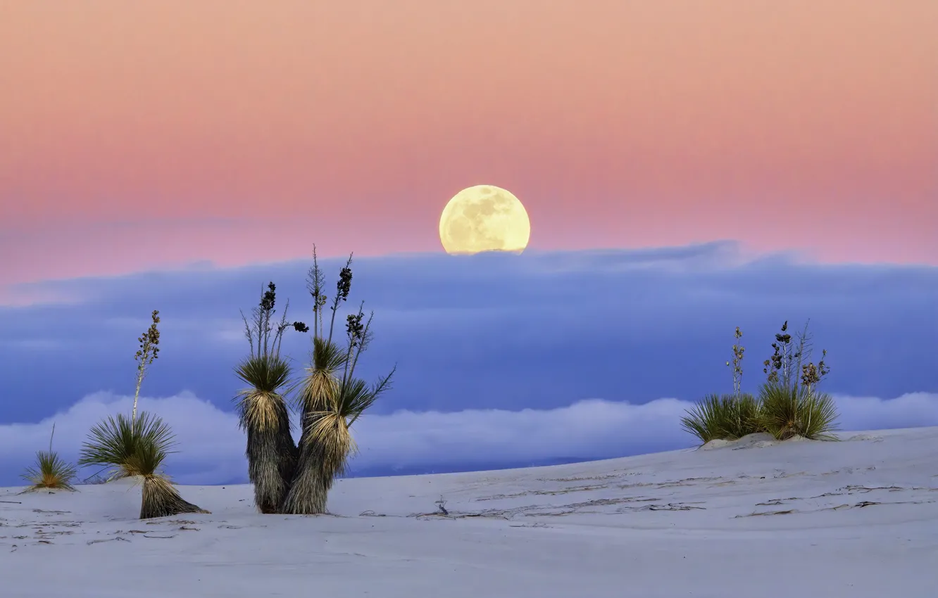 Фото обои пустыня, Луна, США, Нью-Мексико, Белые Пески, White Sands National Monume