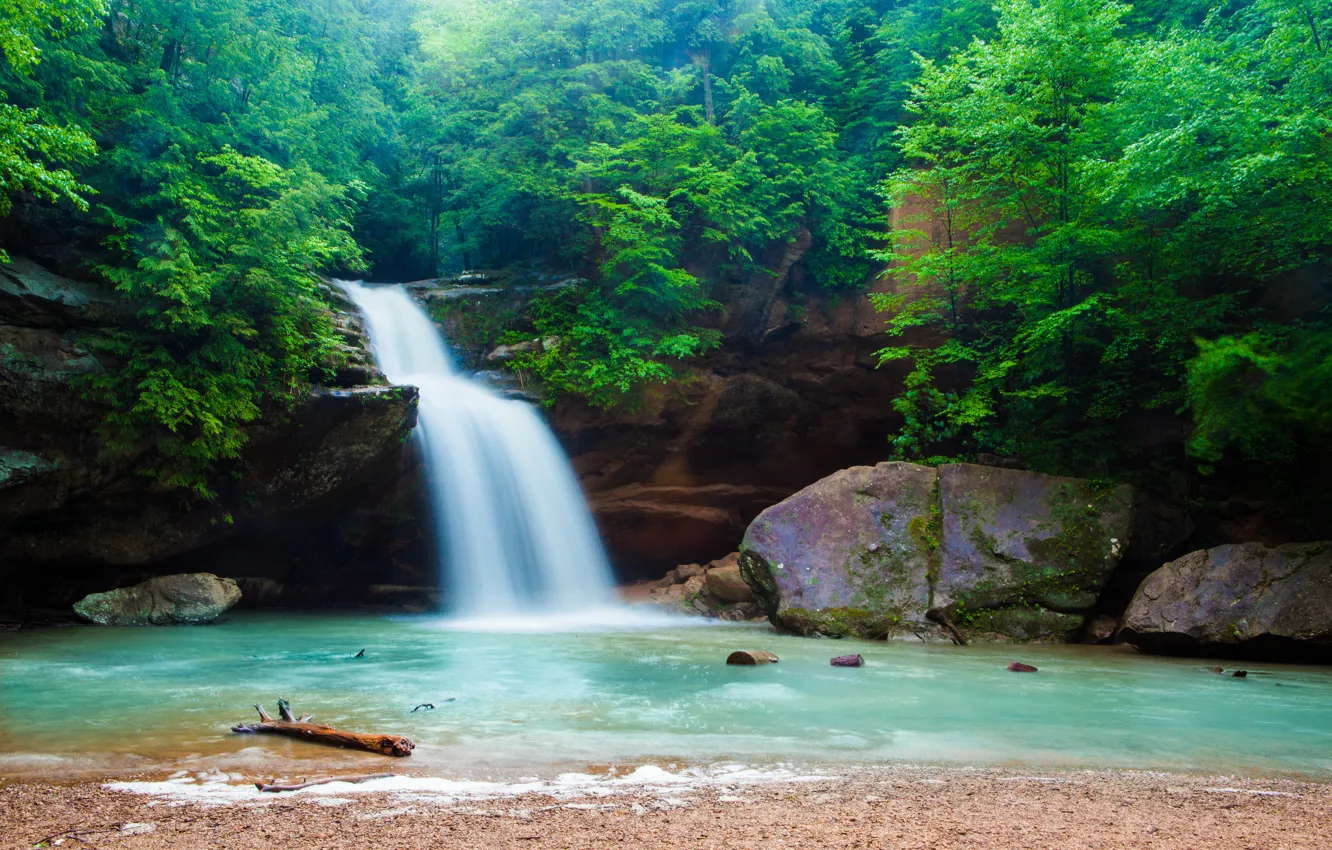 Фото обои лес, река, водопад